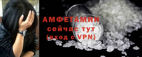 сатива Михайлов
