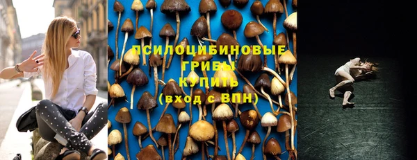 сатива Михайлов