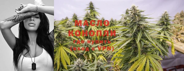 сатива Михайлов